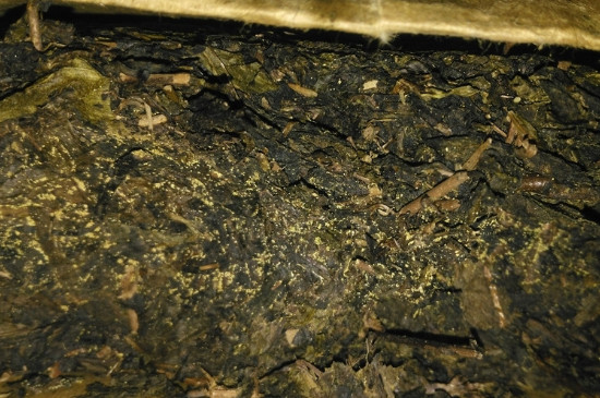 黑茶茯茶保存五大忌，茯茶收藏的注意事項(xiàng)