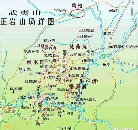 300塊錢的金駿眉能喝嗎，兩三百多金駿眉和一千多區(qū)別