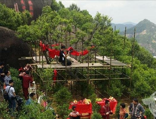宋種一號價(jià)值為什么高，鳳凰單樅宋種1號價(jià)格與產(chǎn)量多少？
