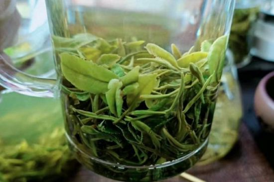 什么綠茶味道濃香，那個綠茶比較濃香？