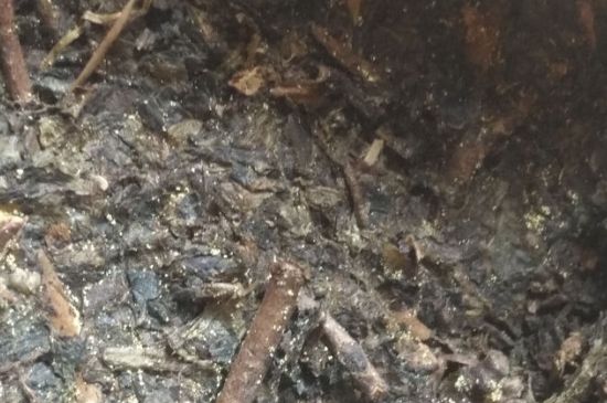 黑茶茯茶保存五大忌，茯茶收藏的注意事項(xiàng)