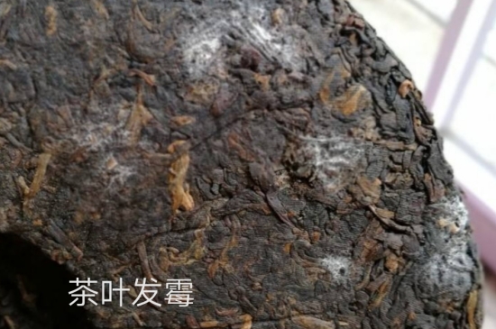 西湖龍井茶毫和發(fā)霉區(qū)別圖片，長(zhǎng)霉的龍井茶葉會(huì)是什么樣？